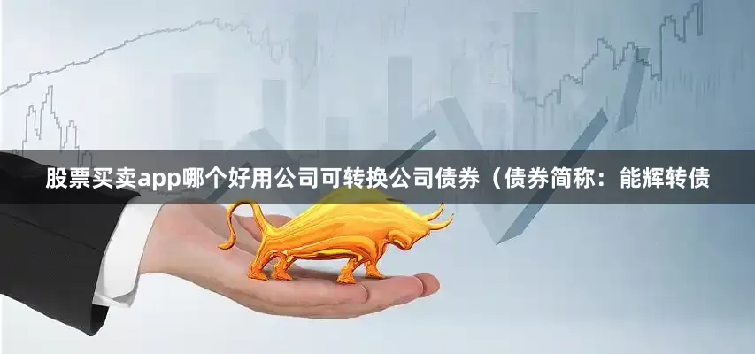 股票买卖app哪个好用公司可转换公司债券（债券简称：能辉转债