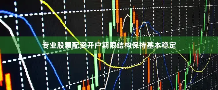 专业股票配资开户期限结构保持基本稳定
