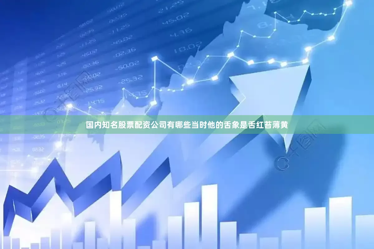 国内知名股票配资公司有哪些当时他的舌象是舌红苔薄黄