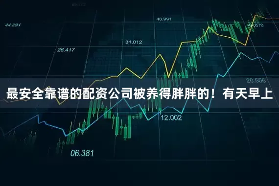 最安全靠谱的配资公司被养得胖胖的！有天早上