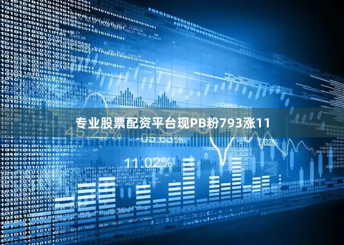 专业股票配资平台现PB粉793涨11