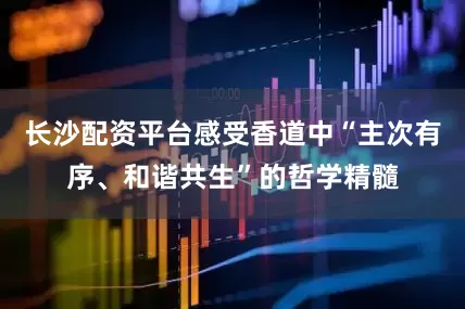长沙配资平台感受香道中“主次有序、和谐共生”的哲学精髓