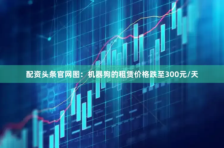 配资头条官网图：机器狗的租赁价格跌至300元/天