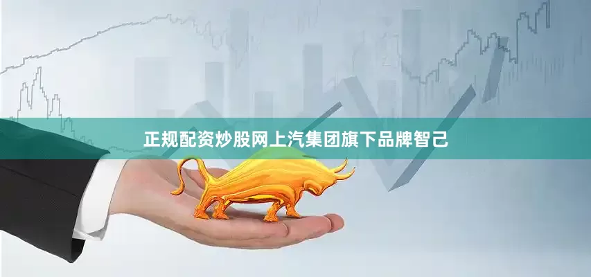 正规配资炒股网上汽集团旗下品牌智己