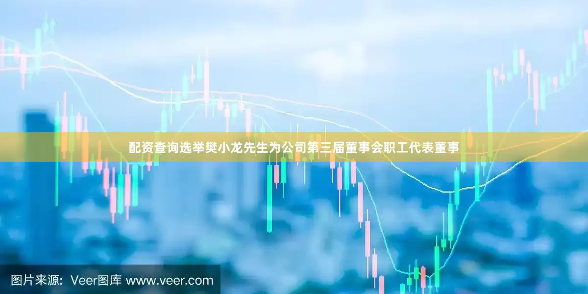 配资查询选举樊小龙先生为公司第三届董事会职工代表董事
