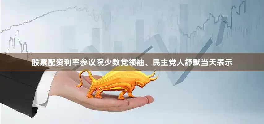 股票配资利率参议院少数党领袖、民主党人舒默当天表示